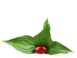 Similar image 8294131