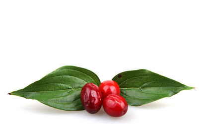 Similar image 8294132