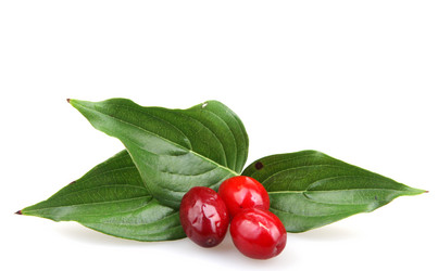 Similar image 8294134