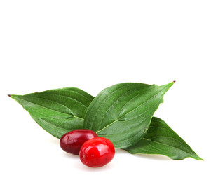 Similar image 8294158