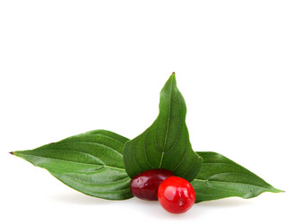 Similar image 8294160