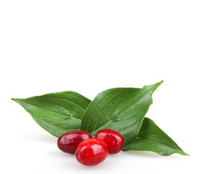 Similar image 8294162