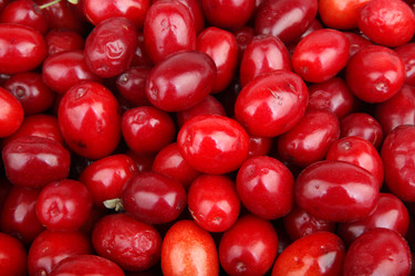 Similar image 8294164