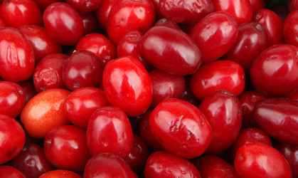 Similar image 8294165