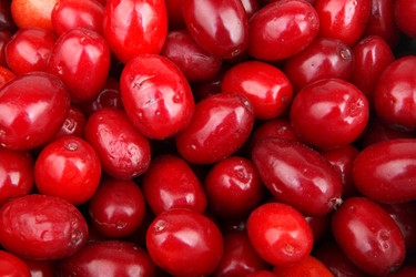 Similar image 8294166