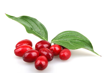 Similar image 8294167