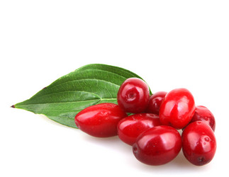 Similar image 8294173