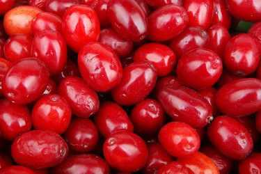 Similar image 8294177