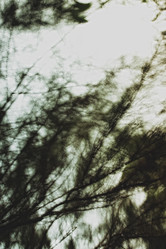 Similar image 8294279