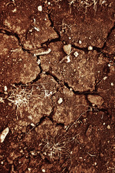 Similar image 8294359