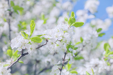 Similar image 8294363