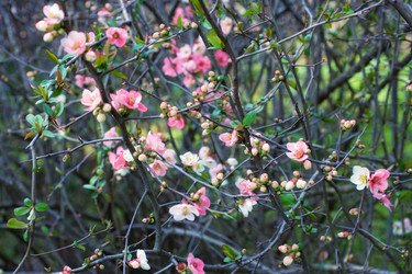 Similar image 8294365