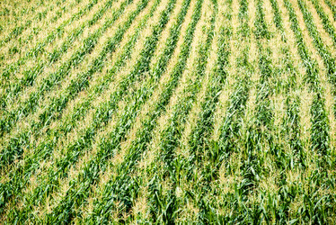 Similar image 8294377