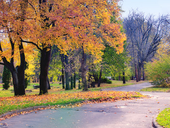 Similar image 8294862