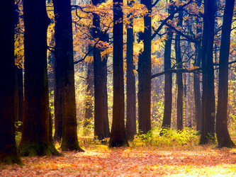 Similar image 8294868