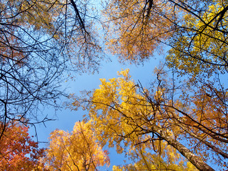 Similar image 8294869