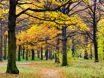 Similar image 8294877