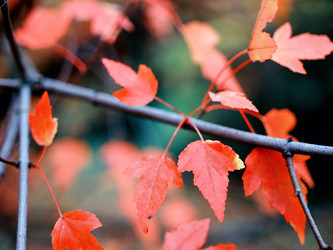 Similar image 8294979