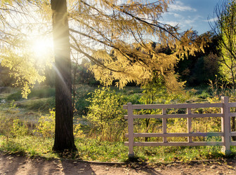 Similar image 8294980