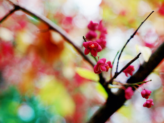 Similar image 8294982