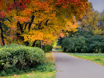 Similar image 8294983