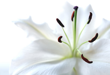 Similar image 8294984