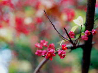 Similar image 8294987