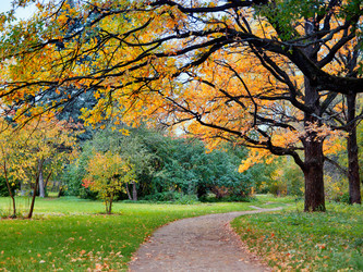 Similar image 8294988