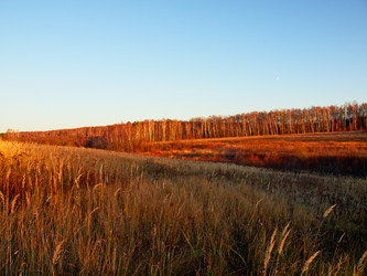 Similar image 8295019