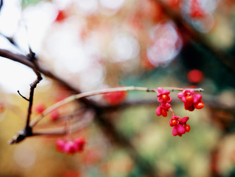 Similar image 8295034