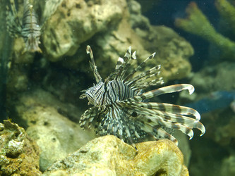 Similar image 8295037