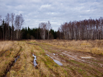 Similar image 8295059