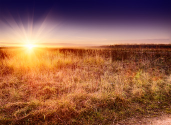 Similar image 8295074