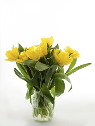 Similar image 8295132