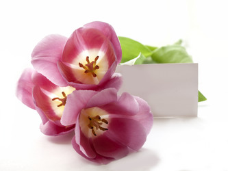 Similar image 8295133