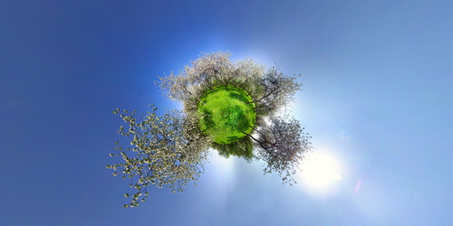 Similar image 8295159