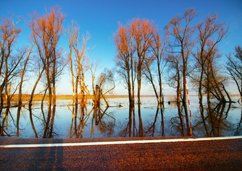 Similar image 8295161