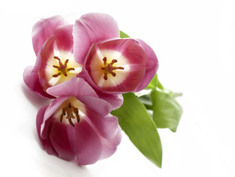 Similar image 8295167