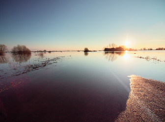 Similar image 8295176