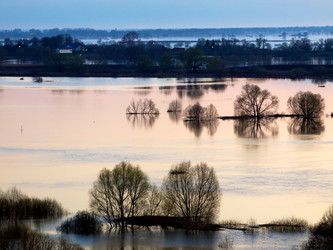 Similar image 8295231