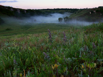 Similar image 8295265