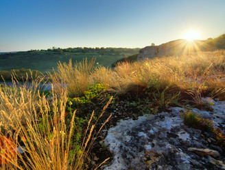 Similar image 8295276