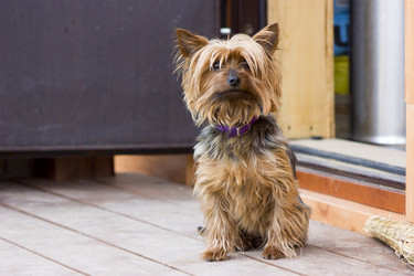 Similar image 8295493