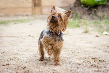 Similar image 8295494