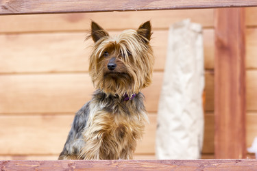 Similar image 8295497