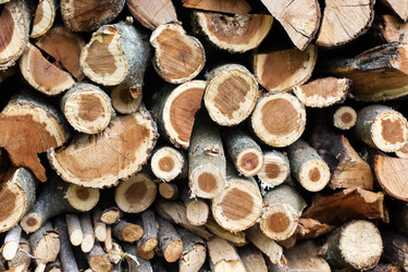 Similar image 8295568