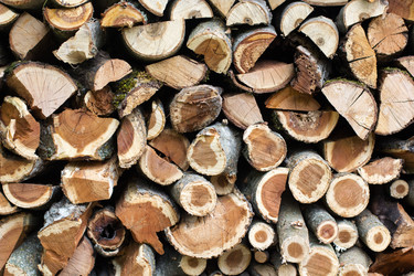 Similar image 8295571