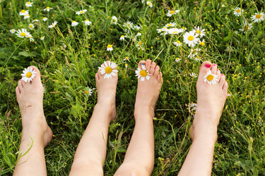 Similar image 8295598