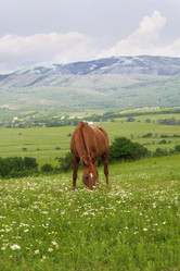 Similar image 8295600