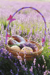 Similar image 8295604